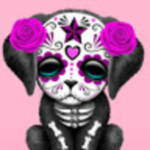 Meet your Posher, Carlie